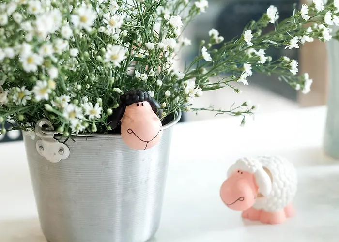 Counting Sheep